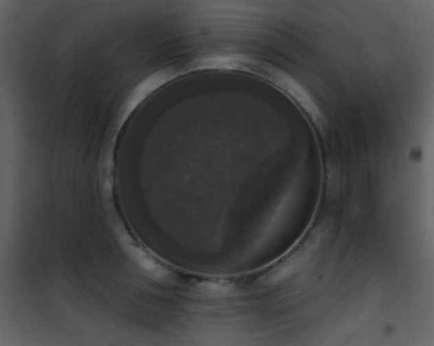 X0000101970994200807181100