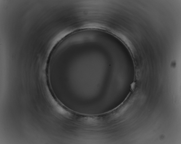 X0000101970995200807181100