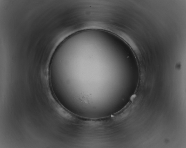X0000101970996200807181100