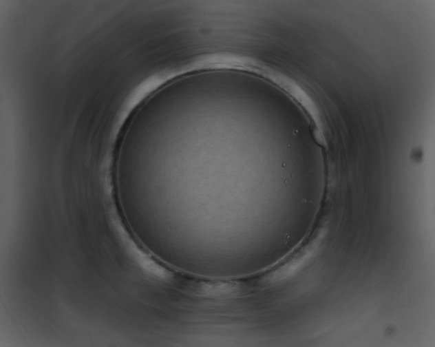 X0000101970997200807181100