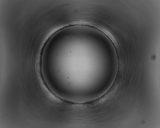 X0000101971000200807181100