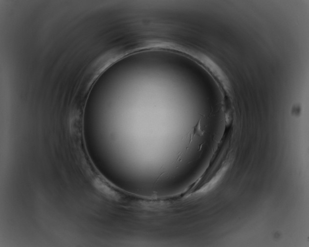 X0000101971001200807181100