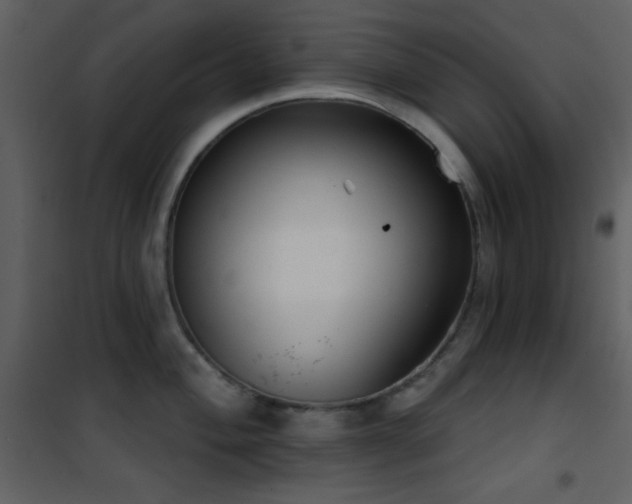 X0000101971004200807181100