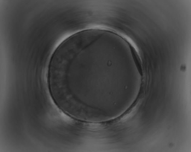 X0000101971007200807181100