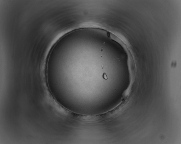 X0000101971008200807181100