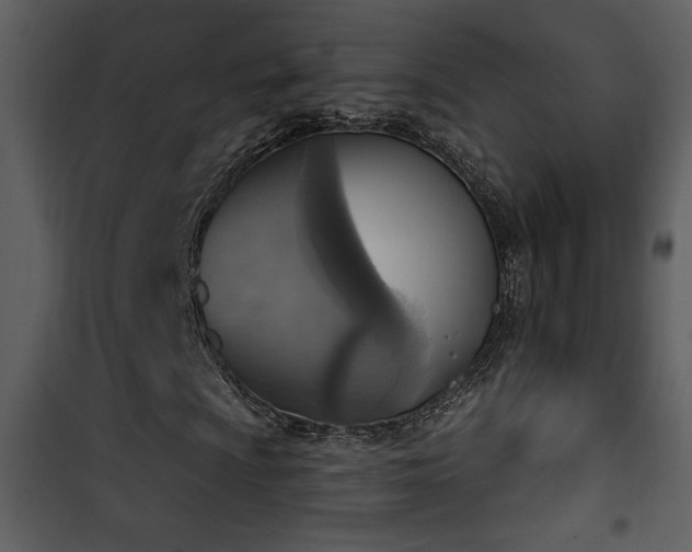X0000101971009200807181059