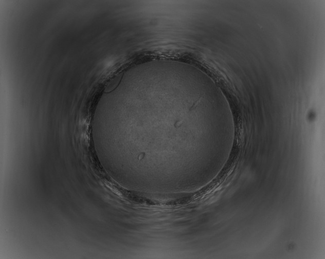 X0000101971010200807181059