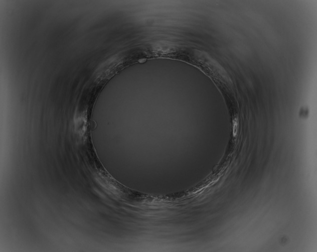 X0000101971011200807181059