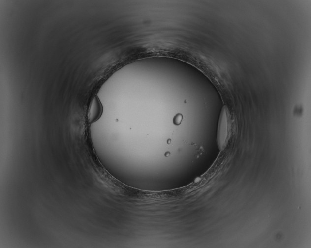 X0000101971012200807181059