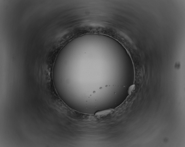 X0000101971013200807181059