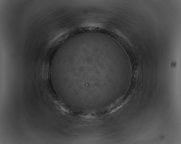 X0000101971014200807181059