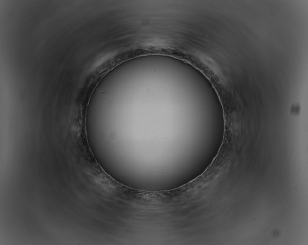 X0000101971015200807181059