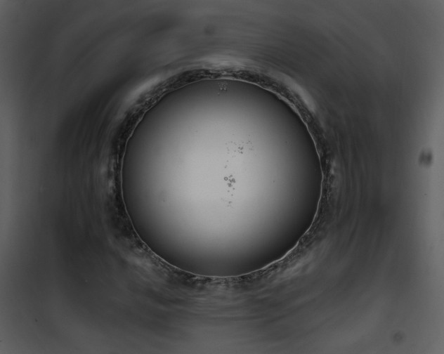 X0000101971016200807181059