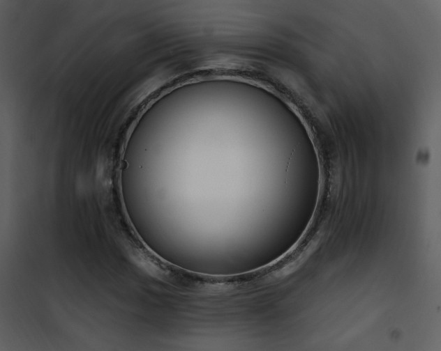 X0000101971017200807181059