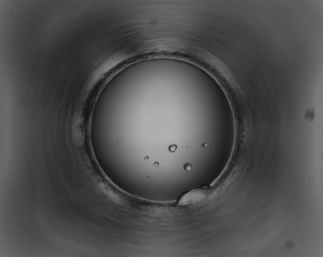 X0000101971018200807181059