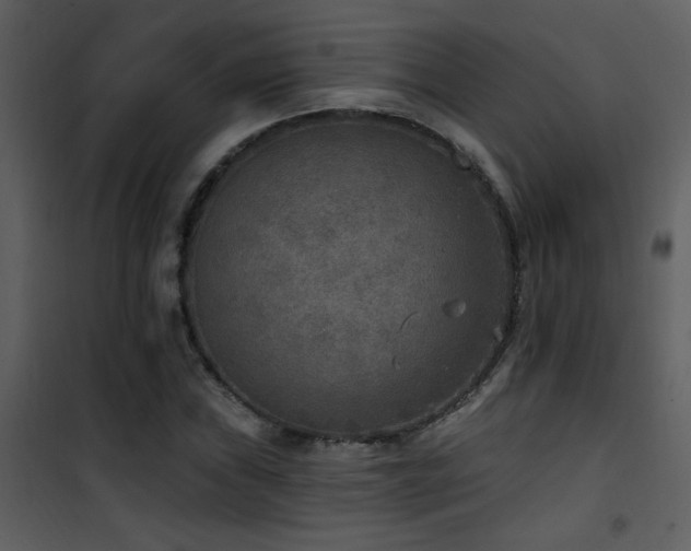 X0000101971019200807181059