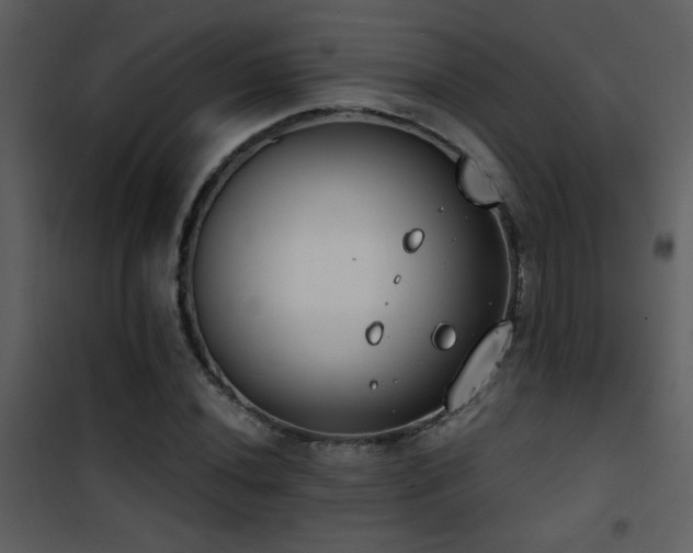 X0000101971020200807181059