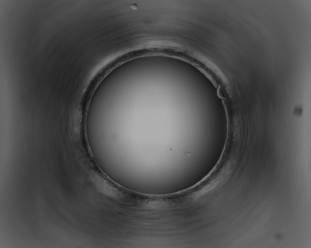 X0000101971021200807181059