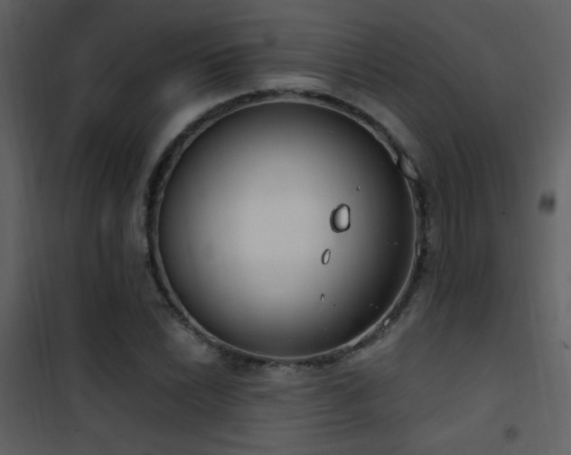 X0000101971022200807181059