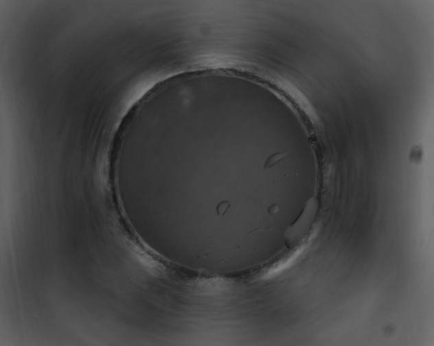 X0000101971023200807181059