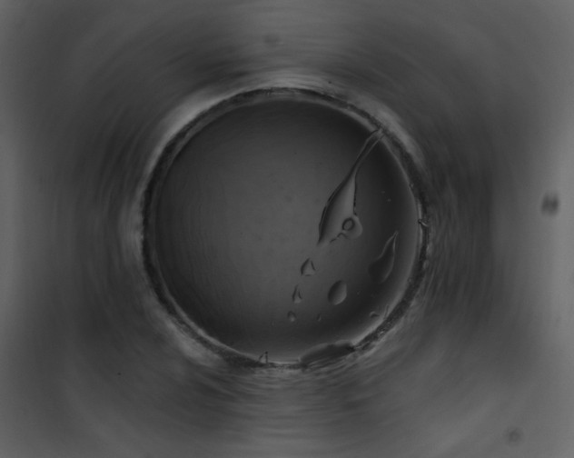 X0000101971024200807181059