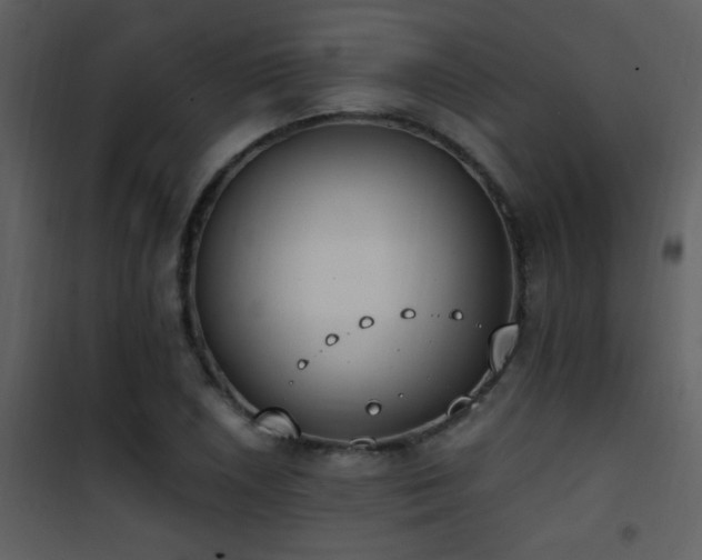 X0000101971026200807181059
