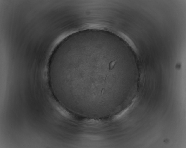 X0000101971027200807181059