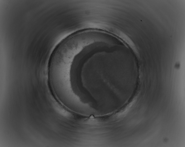 X0000101971028200807181059