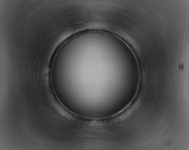 X0000101971029200807181059