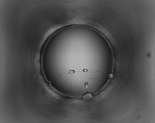 X0000101971030200807181059