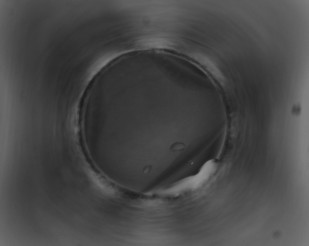 X0000101971031200807181059