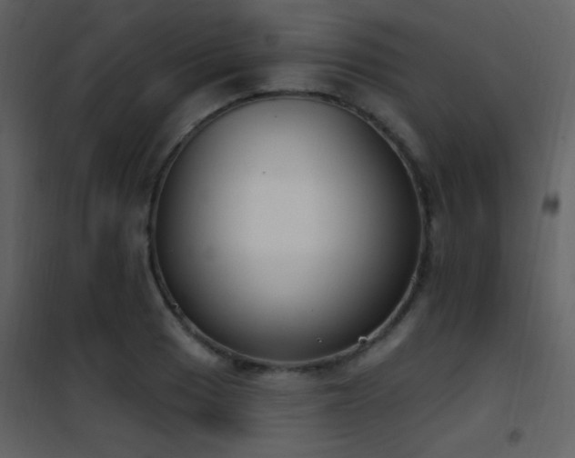 X0000101971033200807181059
