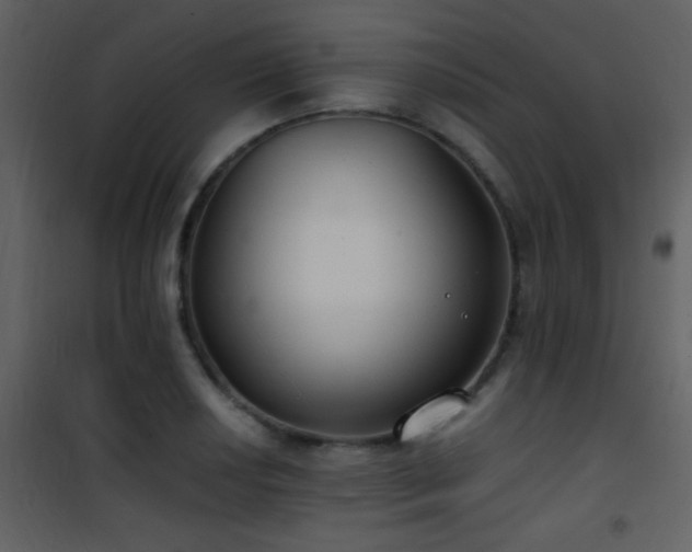 X0000101971034200807181059