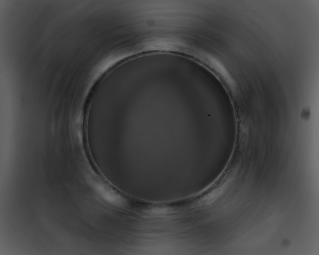 X0000101971035200807181059
