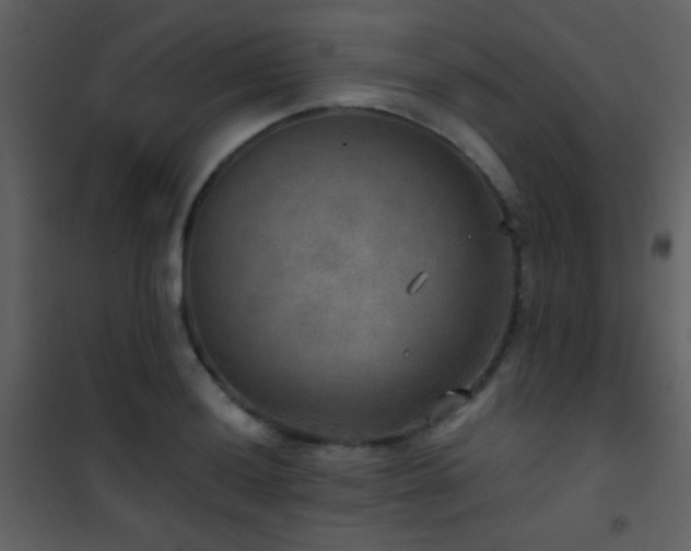 X0000101971036200807181100