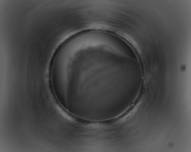 X0000101971037200807181100