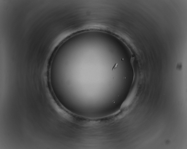 X0000101971038200807181100