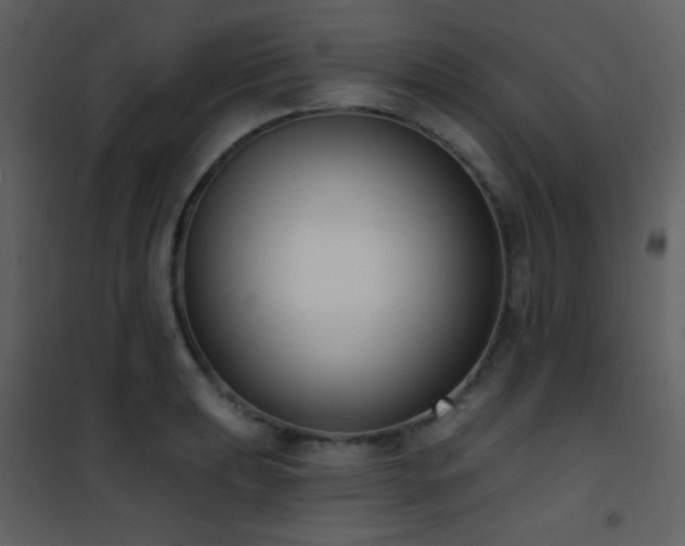 X0000101971039200807181100