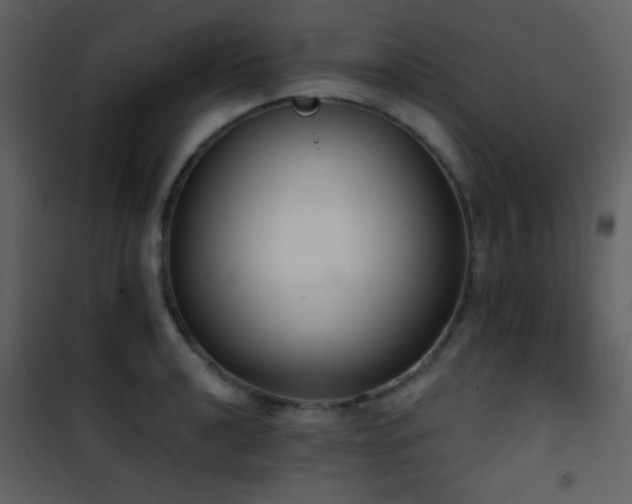 X0000101971040200807181100