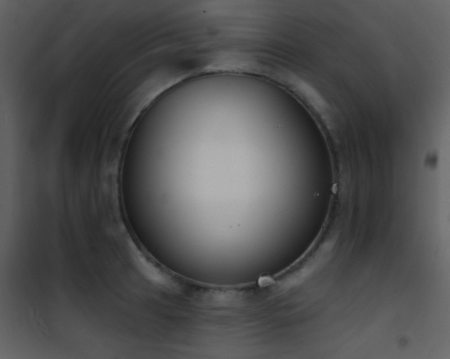 X0000101971041200807181100