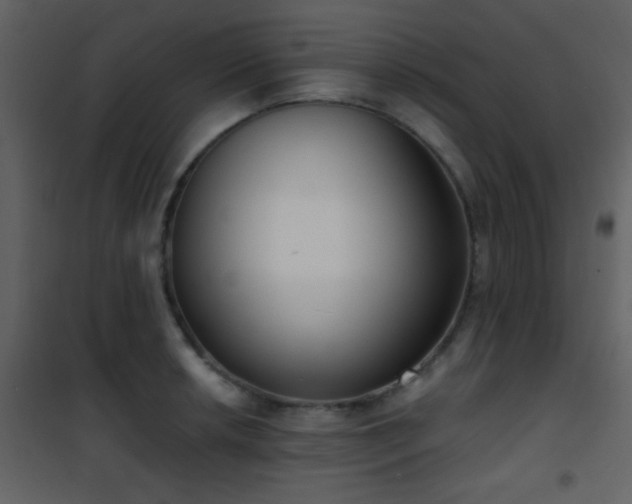 X0000101971042200807181100