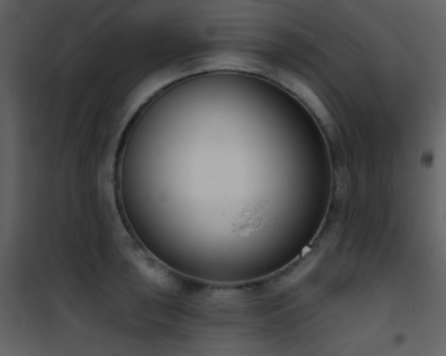 X0000101971043200807181100