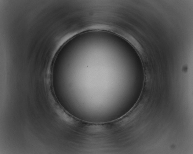X0000101971044200807181100