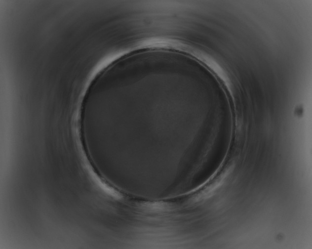X0000101971045200807181100