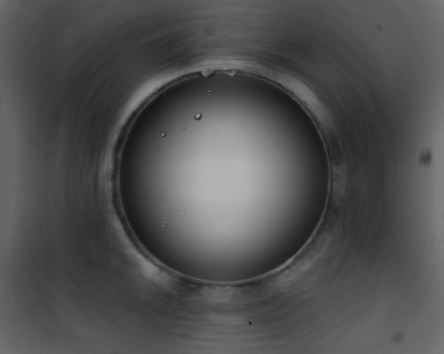 X0000101971046200807181100
