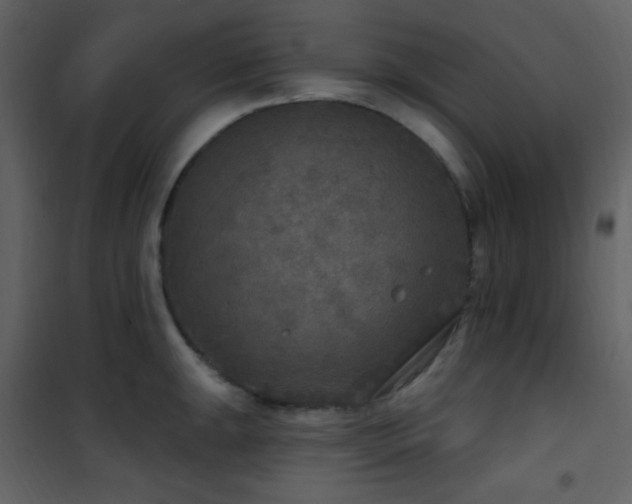 X0000101971047200807181100