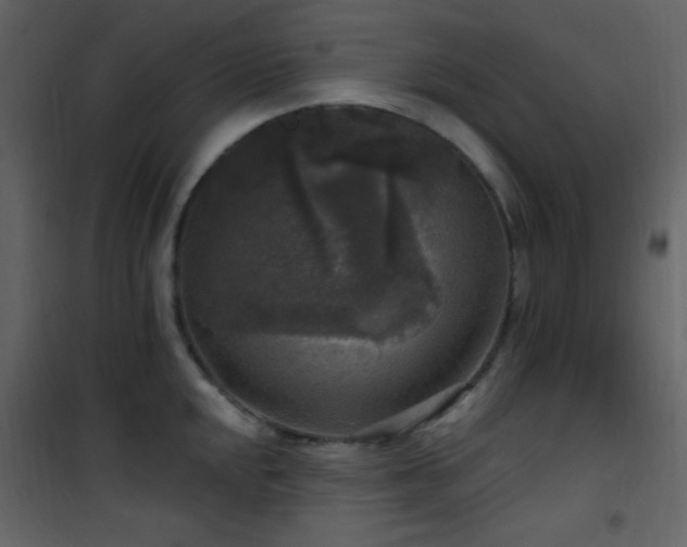 X0000101971048200807181100