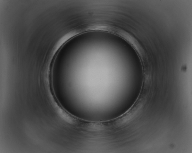 X0000101971050200807181100