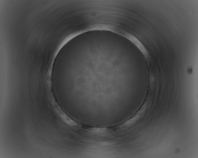 X0000101971052200807181100