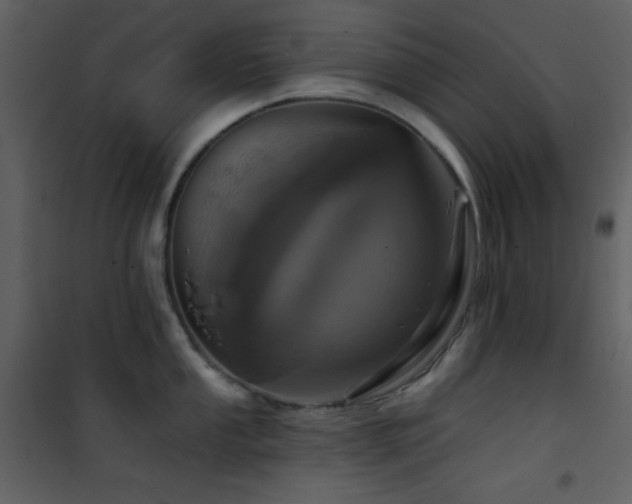 X0000101971053200807181100